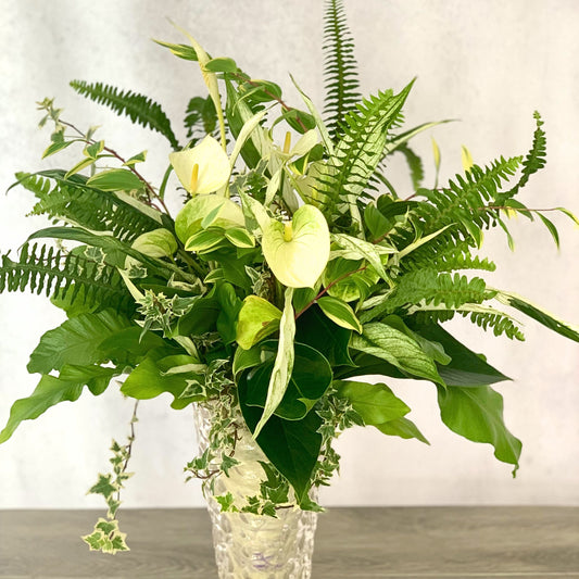 アンスリウム・玉シダ・ヘデラ・ナルコユリ・スパティフィラム・アスプレニウムを束ねたルーティブーケで自分へのプレゼントにもおすすめの上品でみずみずしいギャザリング寄せ植え花創人ガーデニング教室