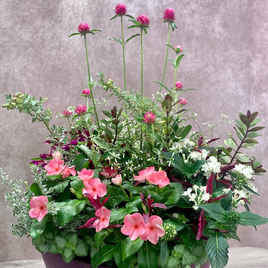 定年祝い・送迎会の花束代わりの寄せ植え 花創人ガーデニング教室