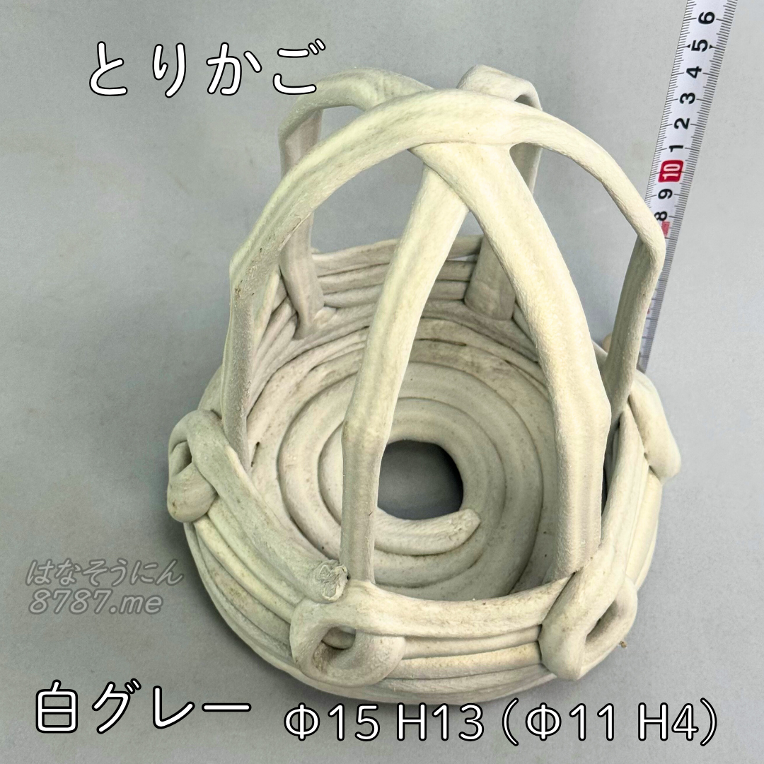 綱木紋鉢 とりかご 白グレー 上から見た植え込み部 はなそうにん オゼジュン先生のプランツギャザリング 寄せ植え用植木鉢