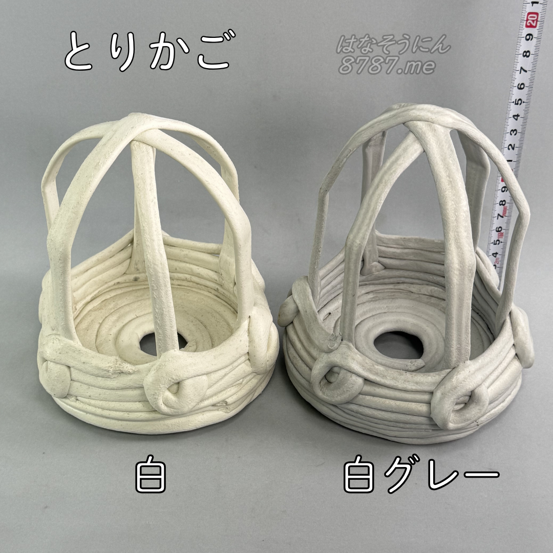綱木紋鉢 とりかご 白と白グレーの色比較 はなそうにん オゼジュン先生のプランツギャザリング 寄せ植え用植木鉢