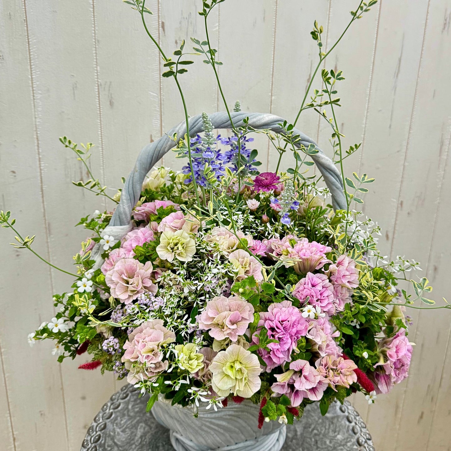 綱木紋ハイジでペチュニアベルチャーム、サルビアサリーファン、アカリファ、ユーフォルビアダイアモンドフロスト、コロニラバレンティナを使った寄せ植えギャザリングの全体像で、持ち手付きの器にふんわりと咲き広がるドリーミーで華やかな作品、持ち手付きギャザリング寄せ植えのメイン画像、花創人ガーデニング教室