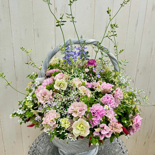 綱木紋ハイジでペチュニアベルチャーム、サルビアサリーファン、アカリファ、ユーフォルビアダイアモンドフロスト、コロニラバレンティナを使った寄せ植えギャザリングの全体像で、持ち手付きの器にふんわりと咲き広がるドリーミーで華やかな作品、持ち手付きギャザリング寄せ植えのメイン画像、花創人ガーデニング教室