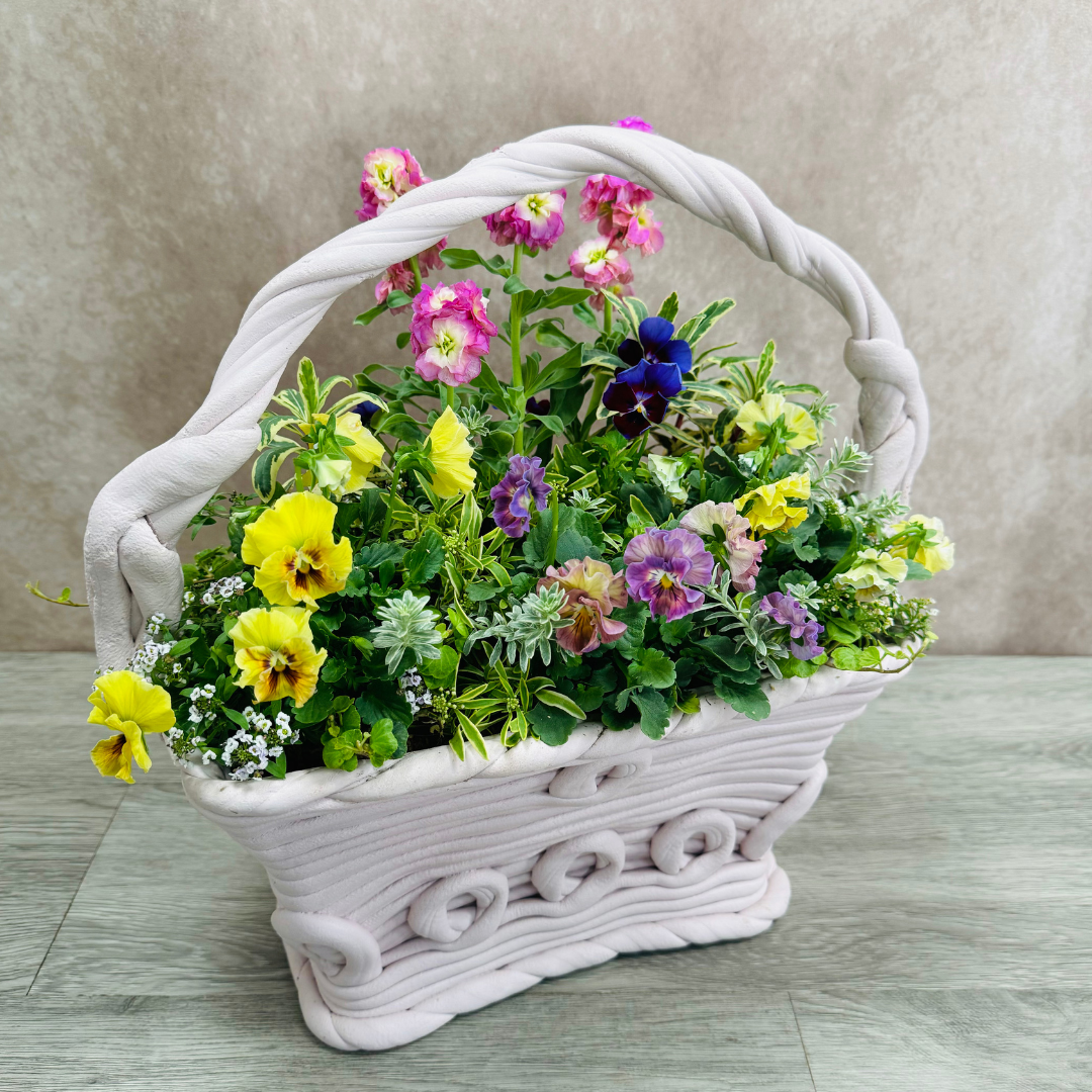 綱木紋鉢 クララ ピンク プランツギャザリング作品例 はなそうにん オゼジュン先生のプランツギャザリング 寄せ植え