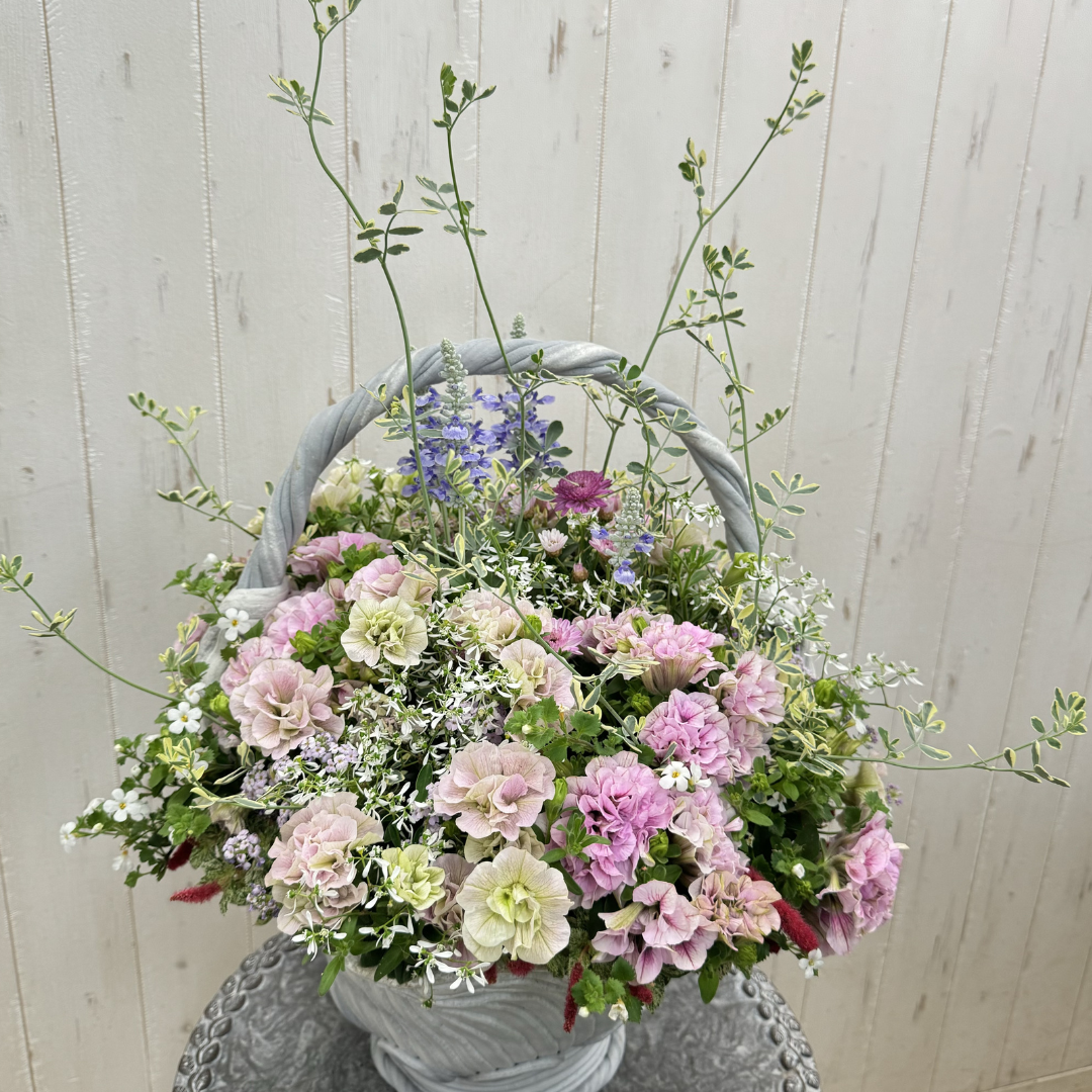 綱木紋鉢 ハイジ持ち手付き 八重ペチュニアを使った寄せ植えギャザリング作品例 はなそうにん オゼジュン先生のプランツギャザリング 寄せ植え用植木鉢