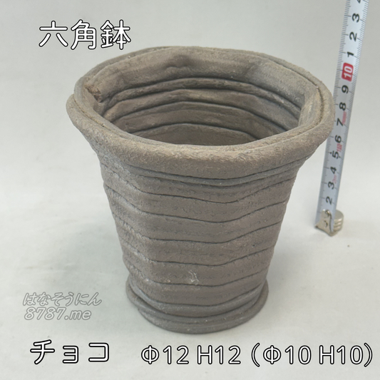 綱木紋鉢 六角鉢 チョコ 正面メイン はなそうにん オゼジュン先生のプランツギャザリング 寄せ植え用植木鉢
