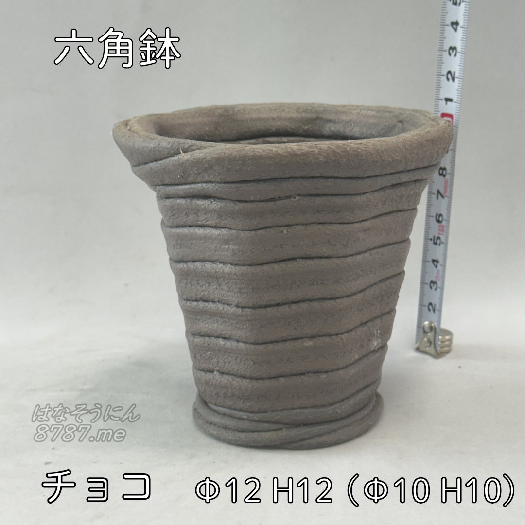 綱木紋鉢 六角鉢 チョコ 横から はなそうにん オゼジュン先生のプランツギャザリング 寄せ植え用植木鉢