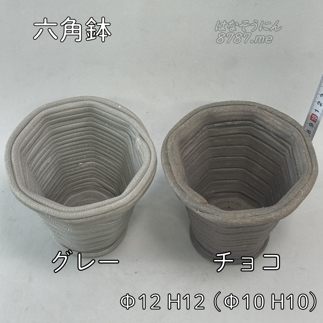 綱木紋鉢 六角鉢 グレーとチョコ 色の比較 上から はなそうにん オゼジュン先生のプランツギャザリング 寄せ植え用植木鉢