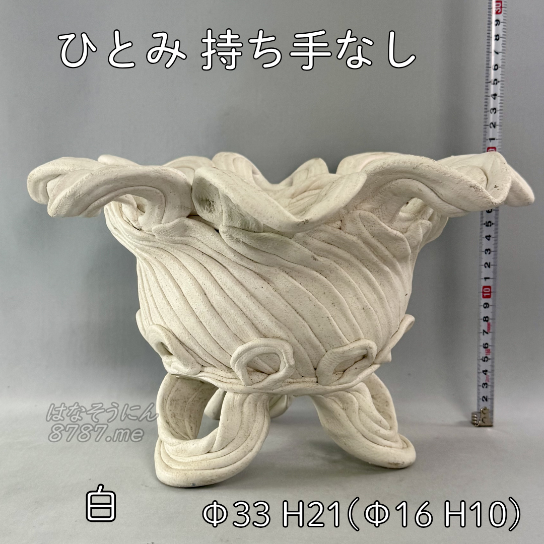 綱木紋鉢 ひとみ持ち手なし 白 横から はなそうにん オゼジュン先生のプランツギャザリング 寄せ植え用植木鉢