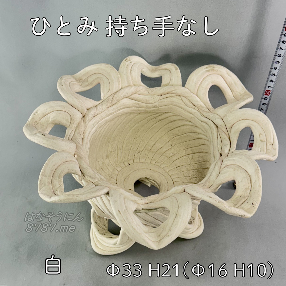 綱木紋鉢 ひとみ持ち手なし 白 上から見た植え込み部 はなそうにん オゼジュン先生のプランツギャザリング 寄せ植え用植木鉢