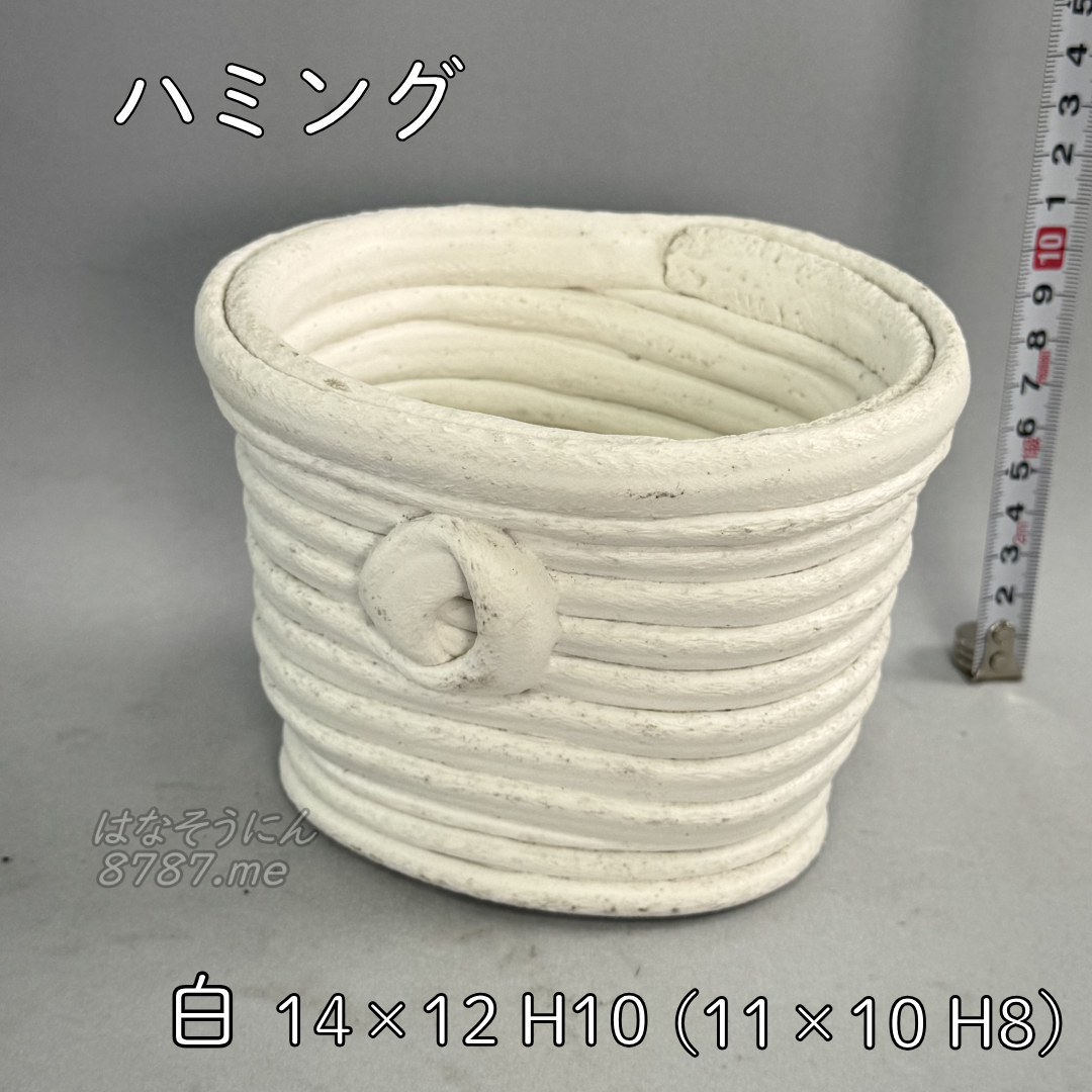 綱木紋鉢 ハミング 正面 はなそうにん オゼジュン先生のプランツギャザリング 寄せ植え用植木鉢　多肉植物の寄せ植え用