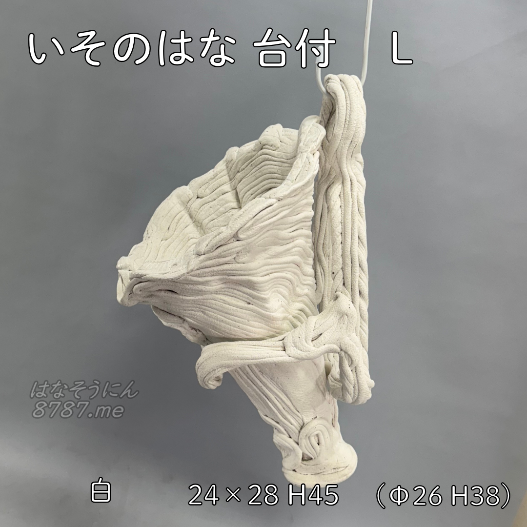 綱木紋鉢 いそのはな Lサイズ 側面アングル1