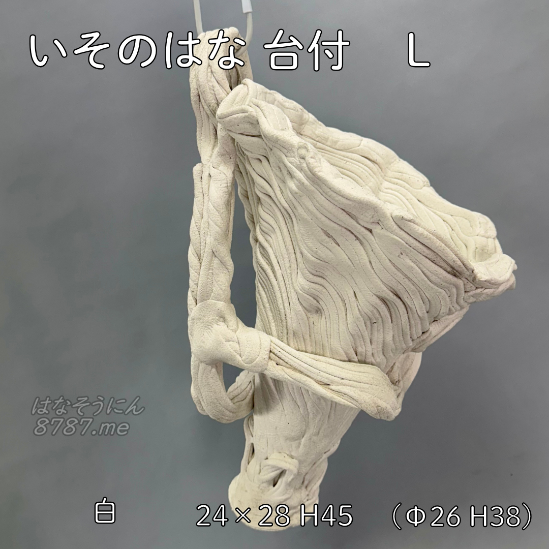 綱木紋鉢 いそのはな Lサイズ 側面アングル2
