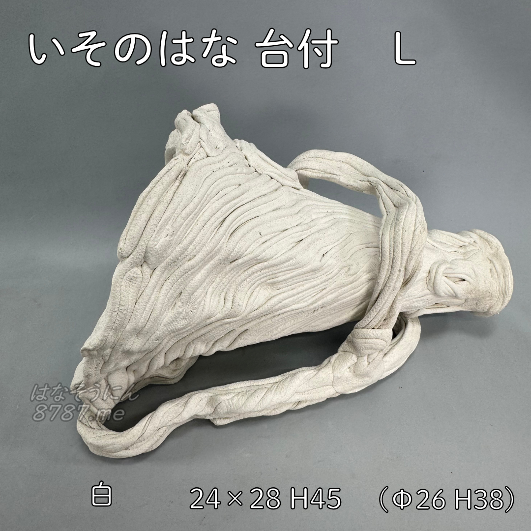 綱木紋鉢 いそのはな Lサイズ 寝かせて使用した状態