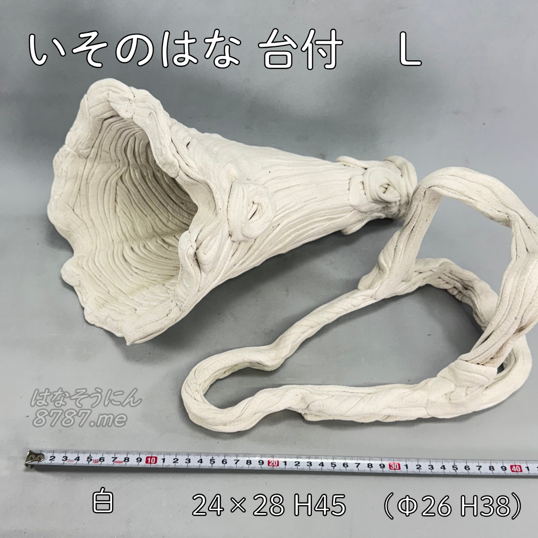 綱木紋鉢 いそのはな Lサイズ 本体と台のセット内容