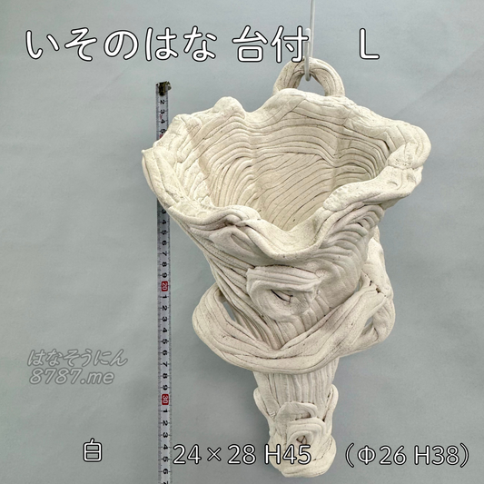 綱木紋鉢 いそのはな台付きLサイズ 正面アングル