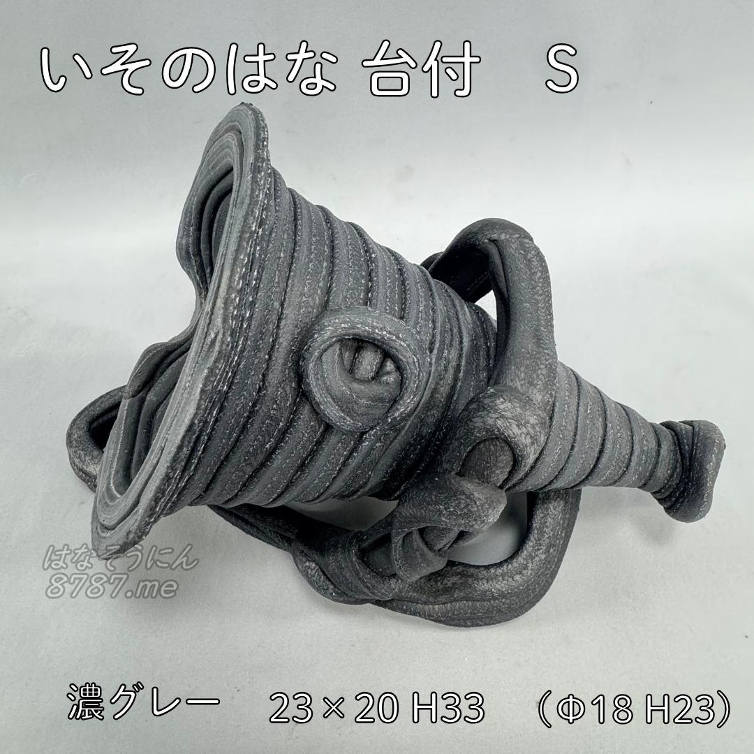 綱木紋鉢 いそのはな Sサイズ 濃いグレー 寝かせて使用した状態