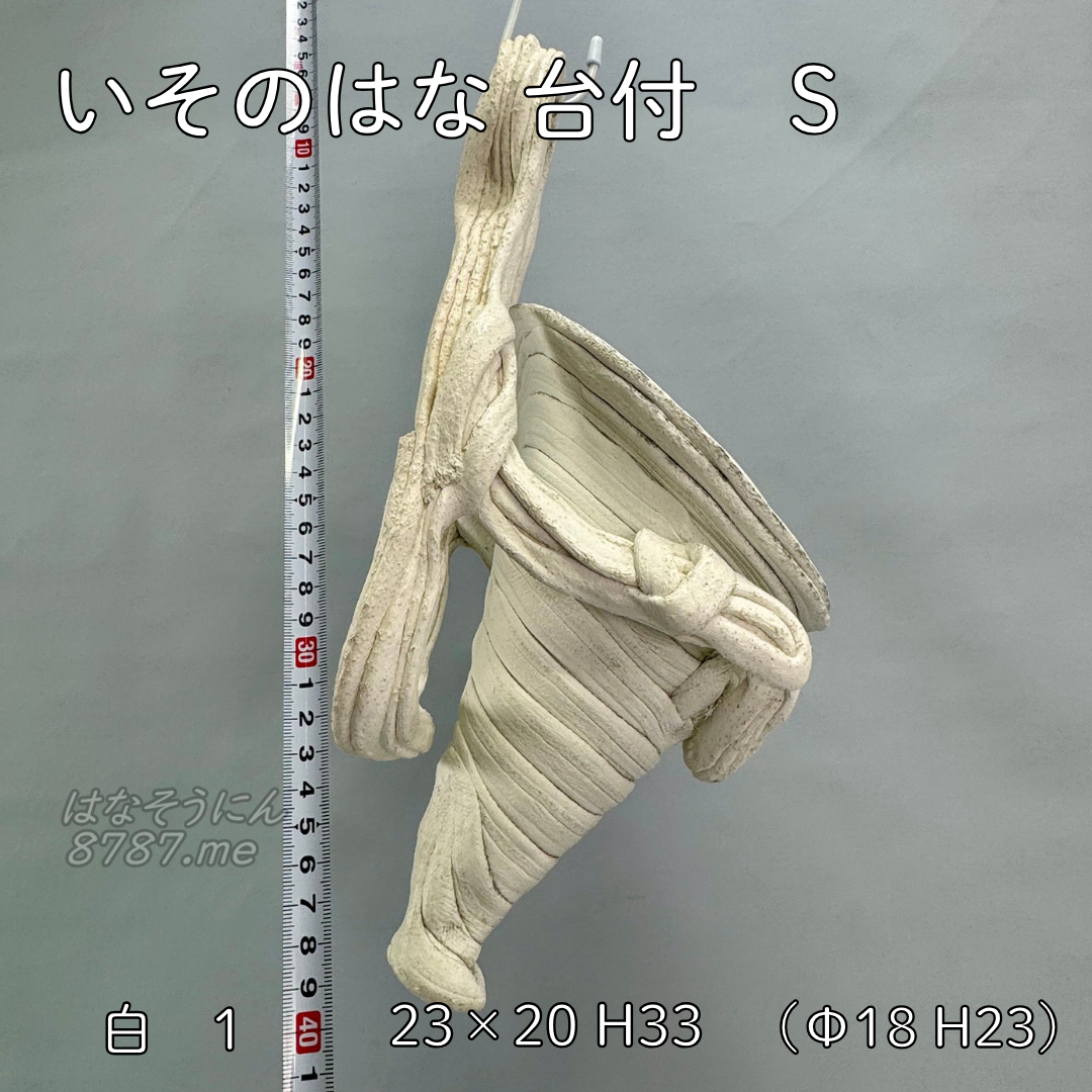 綱木紋鉢 いそのはな Sサイズ 白 側面アングル