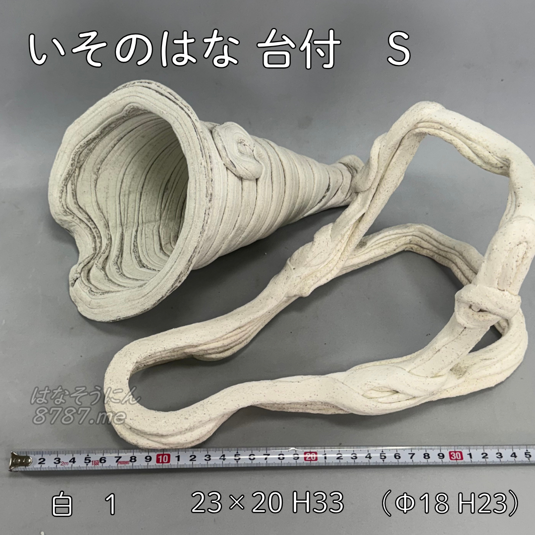 綱木紋鉢 いそのはな Sサイズ 白 本体と台のセット内容