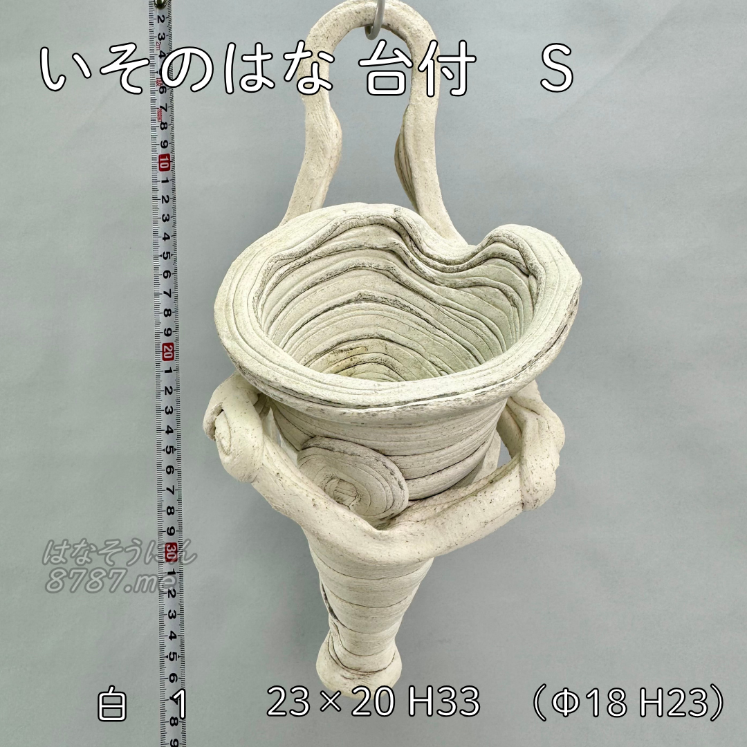 綱木紋鉢 いそのはな台付きSサイズ 白 正面アングル