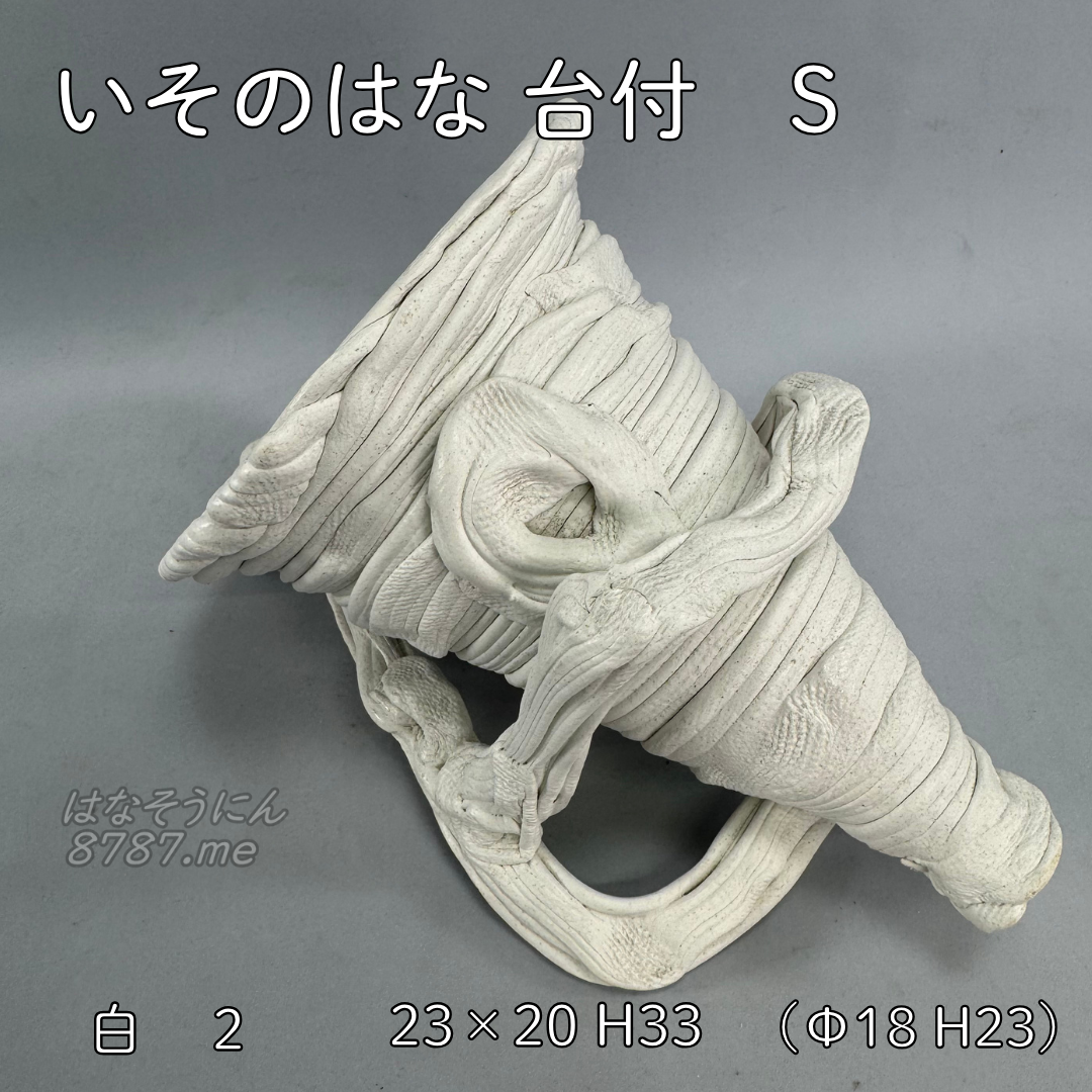 綱木紋鉢 いそのはな Sサイズ 白 寝かせて使用した状態
