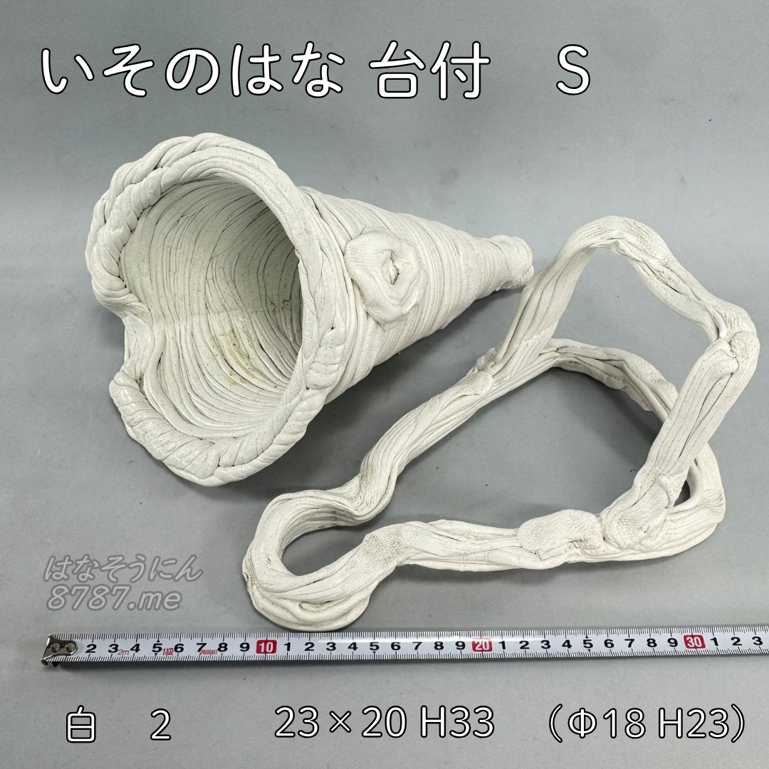 綱木紋鉢 いそのはな Sサイズ 白 セット内容