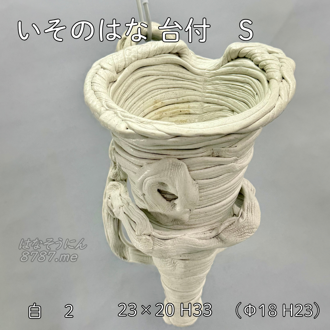 綱木紋鉢 いそのはな台付きSサイズ 白 正面アングル