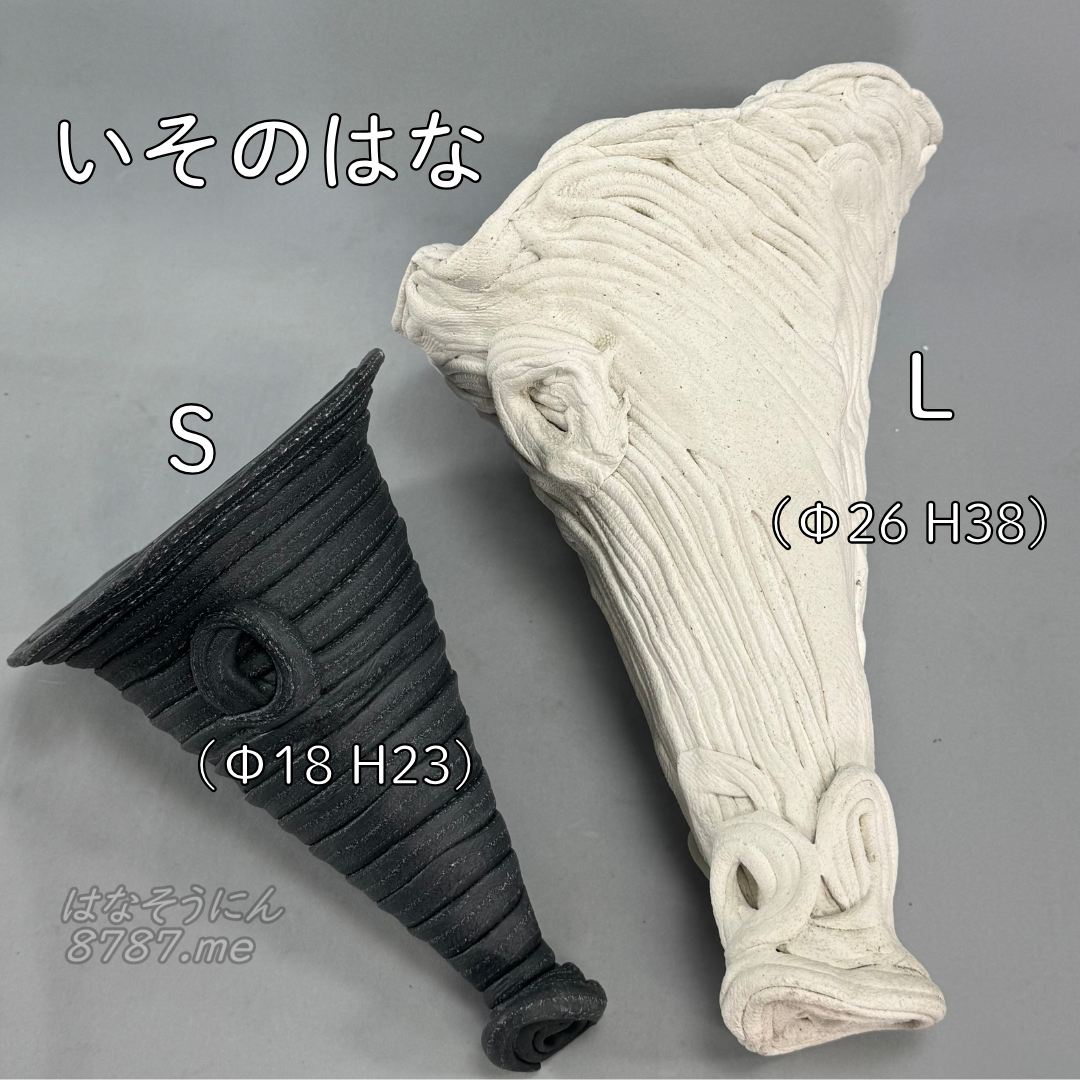 綱木紋鉢 いそのはな SサイズとLサイズの比較