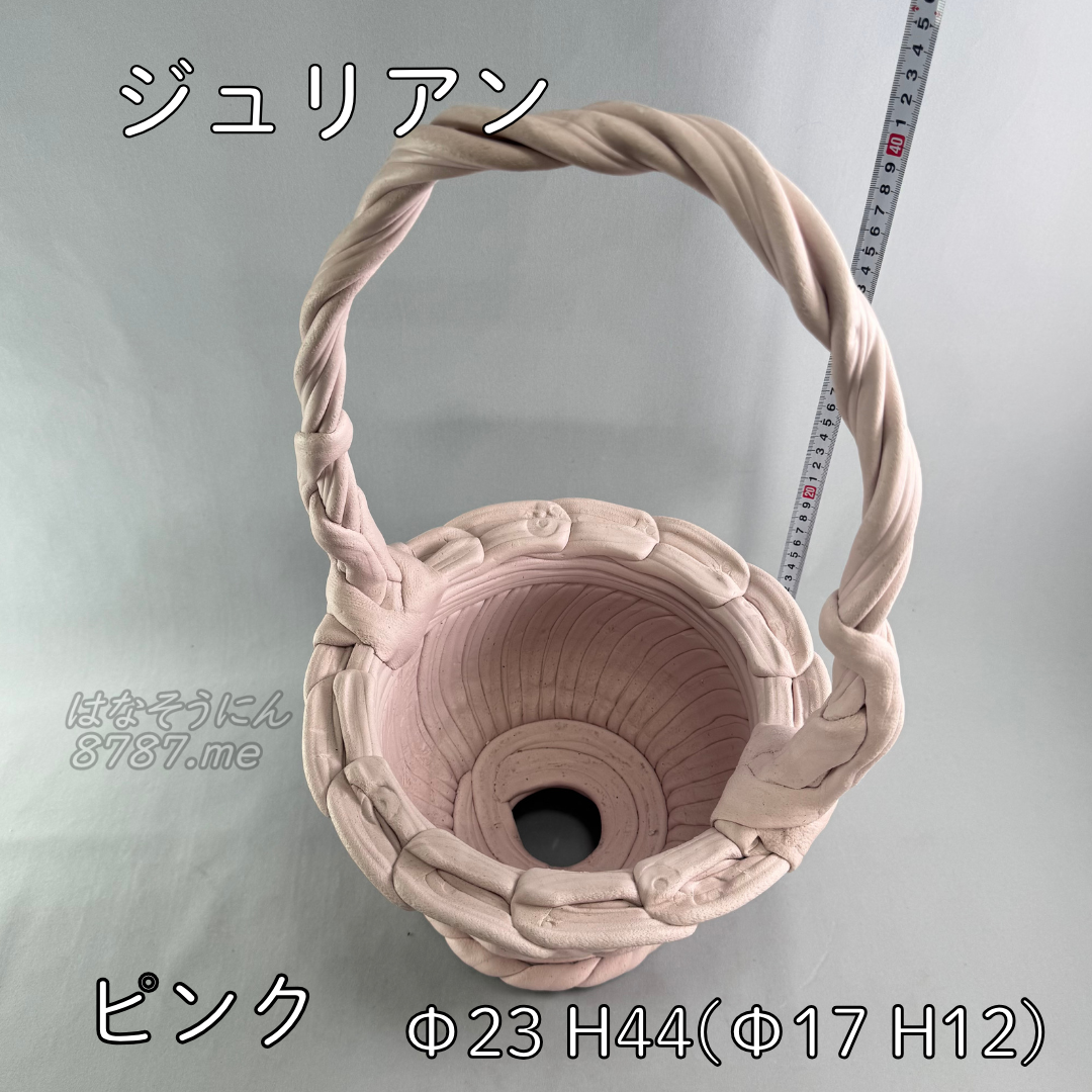 綱木紋鉢 ジュリアン ピンク 上から はなそうにん オゼジュン先生のプランツギャザリング 寄せ植え用植木鉢