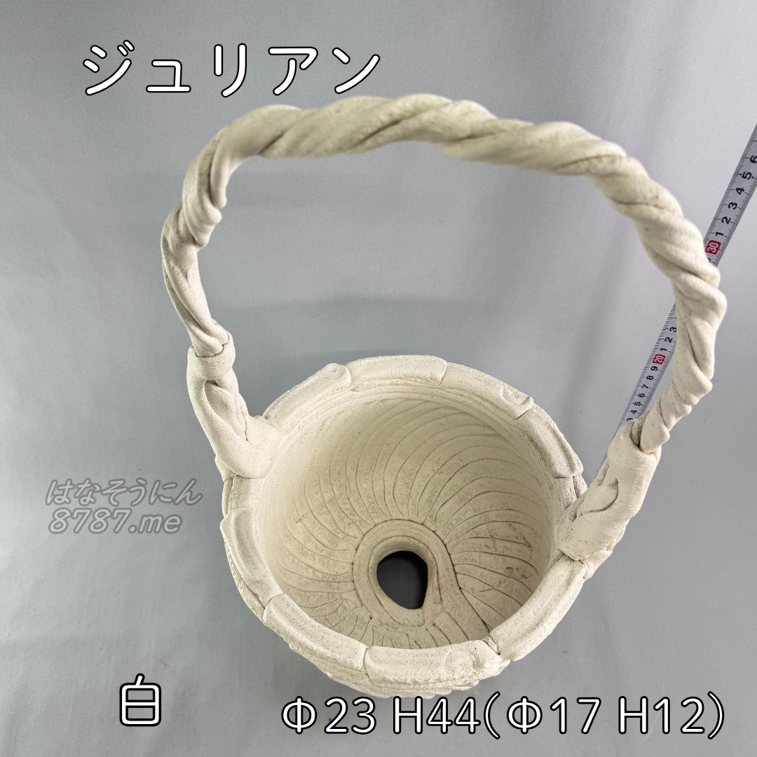 綱木紋鉢 ジュリアン 白 上から はなそうにん オゼジュン先生のプランツギャザリング 寄せ植え用植木鉢