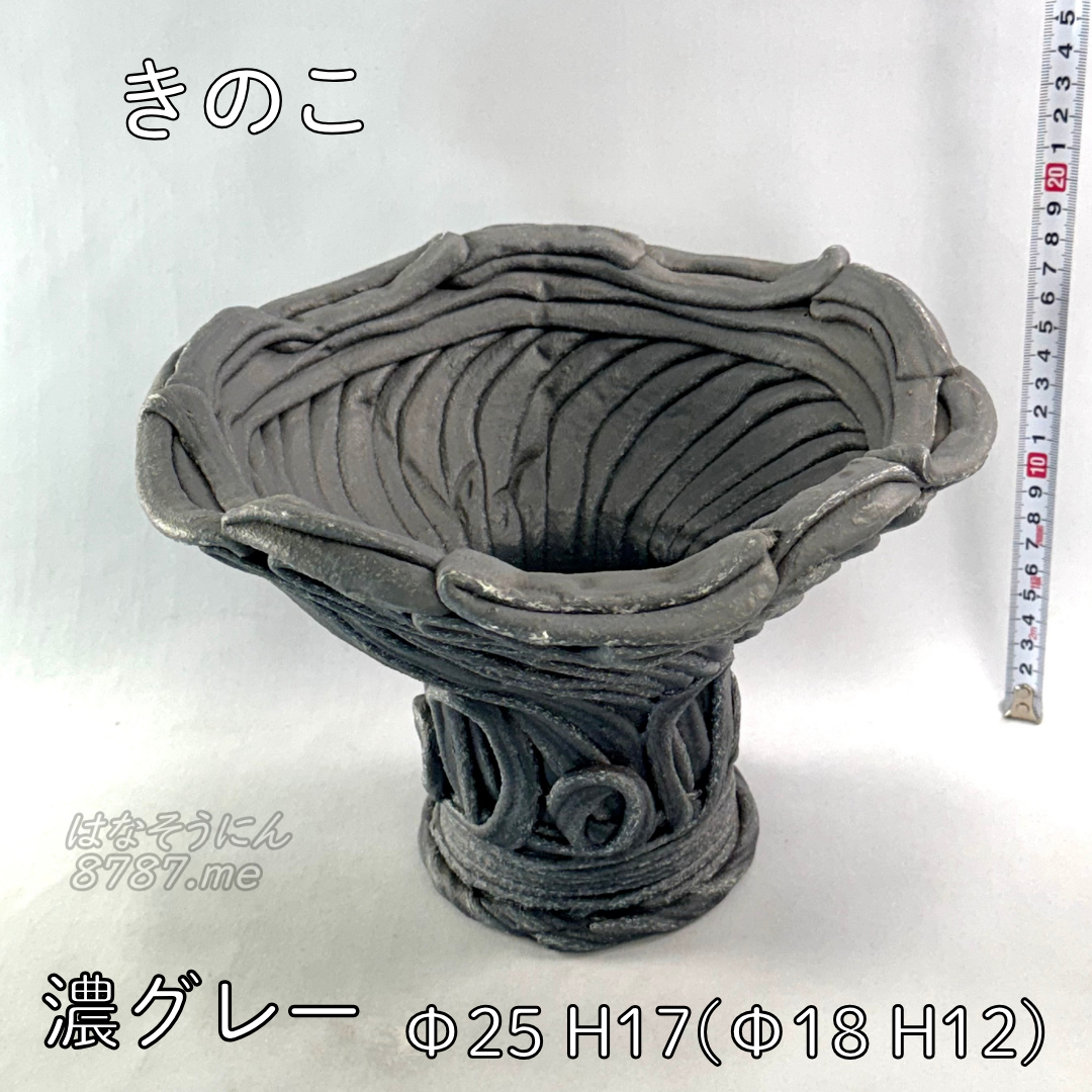 綱木紋鉢 きのこ鉢 正面 はなそうにん オゼジュン先生のプランツギャザリング 寄せ植え用植木鉢