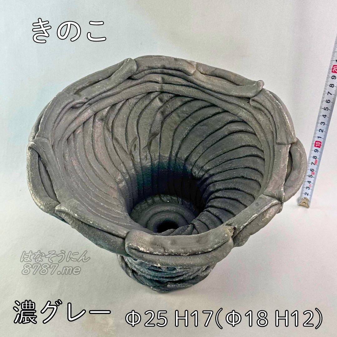綱木紋鉢 きのこ鉢 上から はなそうにん オゼジュン先生のプランツギャザリング 寄せ植え用植木鉢