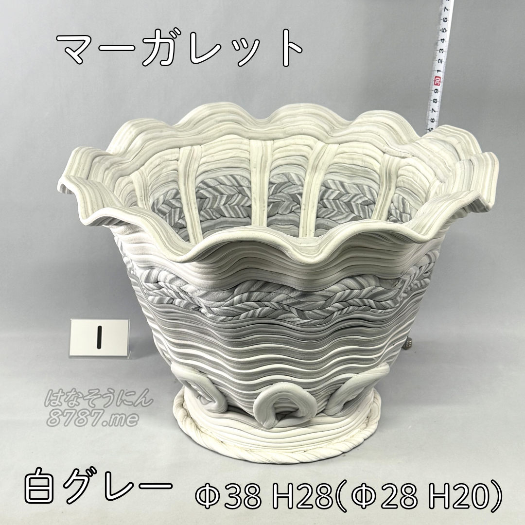 綱木紋鉢 マーガレット 白グレー1 正面メイン はなそうにん オゼジュン先生のプランツギャザリング 寄せ植え用植木鉢