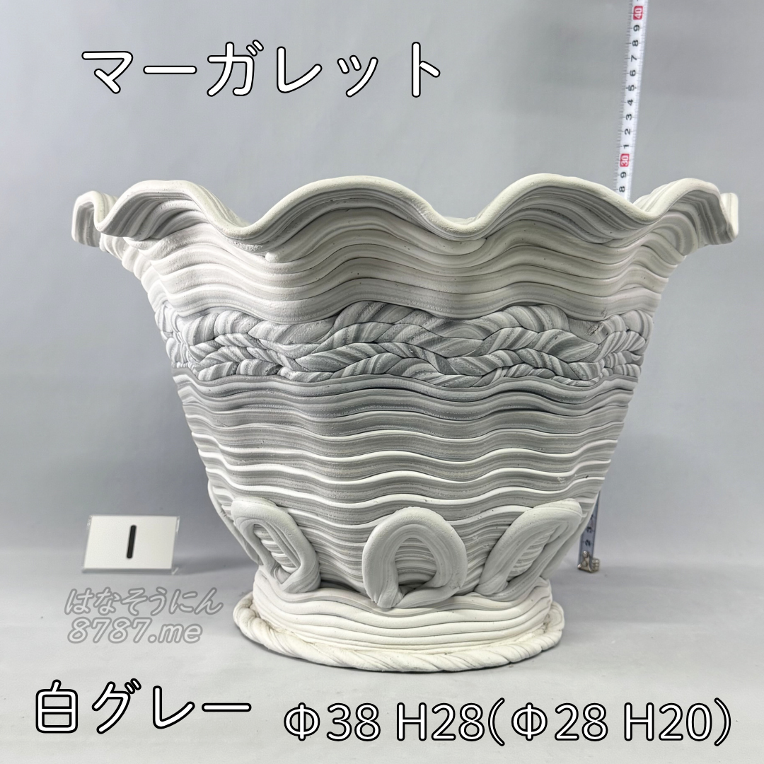 綱木紋鉢 マーガレット 白グレー1 横から はなそうにん オゼジュン先生のプランツギャザリング 寄せ植え用植木鉢