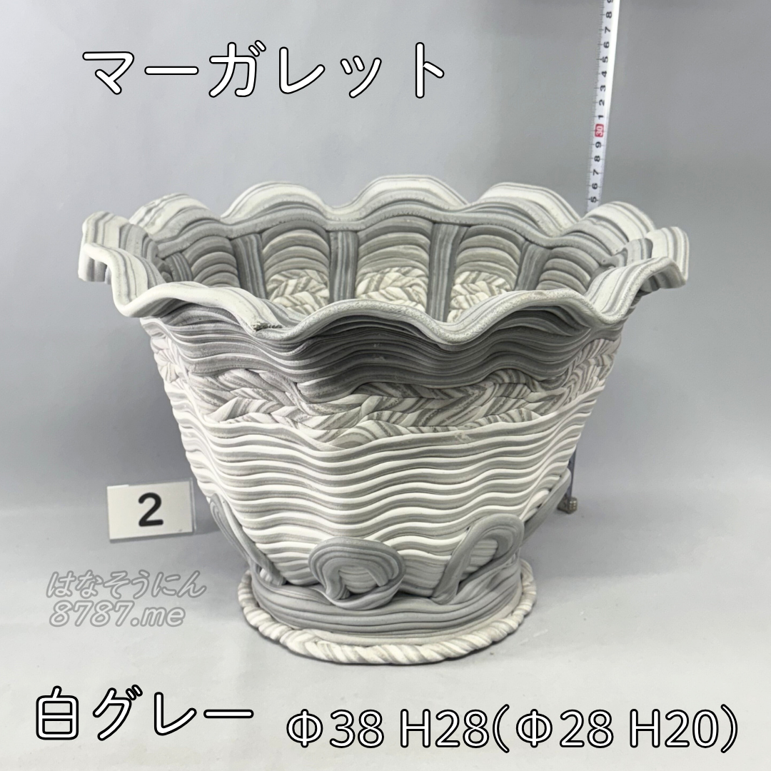 綱木紋鉢 マーガレット 白グレー2 正面メイン はなそうにん オゼジュン先生のプランツギャザリング 寄せ植え用植木鉢