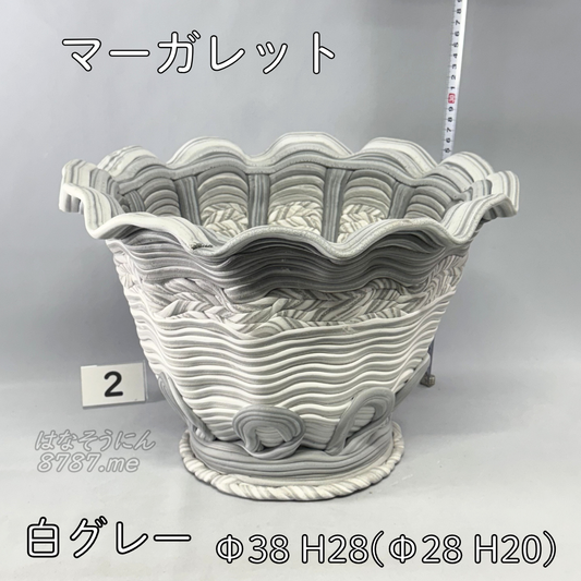 綱木紋鉢 マーガレット 白グレー2 正面メイン はなそうにん オゼジュン先生のプランツギャザリング 寄せ植え用植木鉢