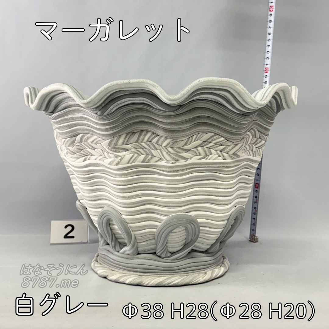 綱木紋鉢 マーガレット 白グレー2 横から はなそうにん オゼジュン先生のプランツギャザリング 寄せ植え用植木鉢