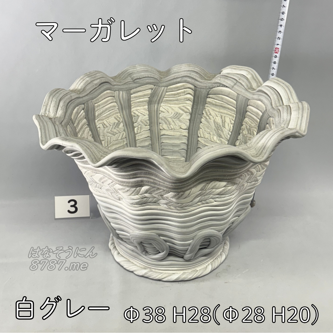 綱木紋鉢 マーガレット 白グレー3 正面メイン はなそうにん オゼジュン先生のプランツギャザリング 寄せ植え用植木鉢