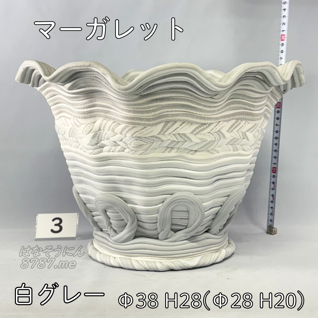 綱木紋鉢 マーガレット 白グレー3 横から はなそうにん オゼジュン先生のプランツギャザリング 寄せ植え用植木鉢