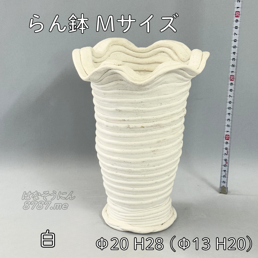綱木紋鉢 らん鉢Mサイズ 白 裏側 はなそうにん オゼジュン先生のプランツギャザリング 寄せ植え用植木鉢