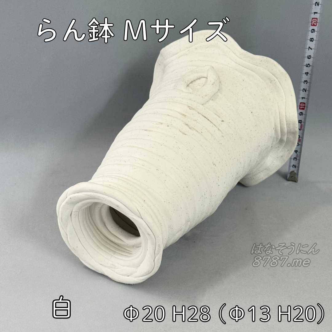 綱木紋鉢 らん鉢Mサイズ 白 下から はなそうにん オゼジュン先生のプランツギャザリング 寄せ植え用植木鉢