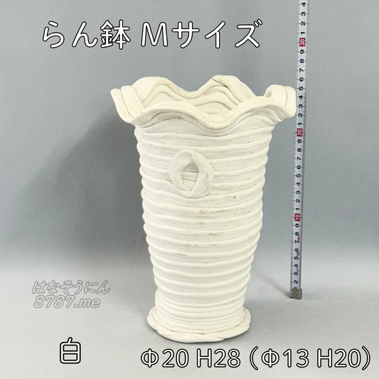 綱木紋鉢 らん鉢Mサイズ 白 正面メイン はなそうにん オゼジュン先生のプランツギャザリング 寄せ植え用植木鉢