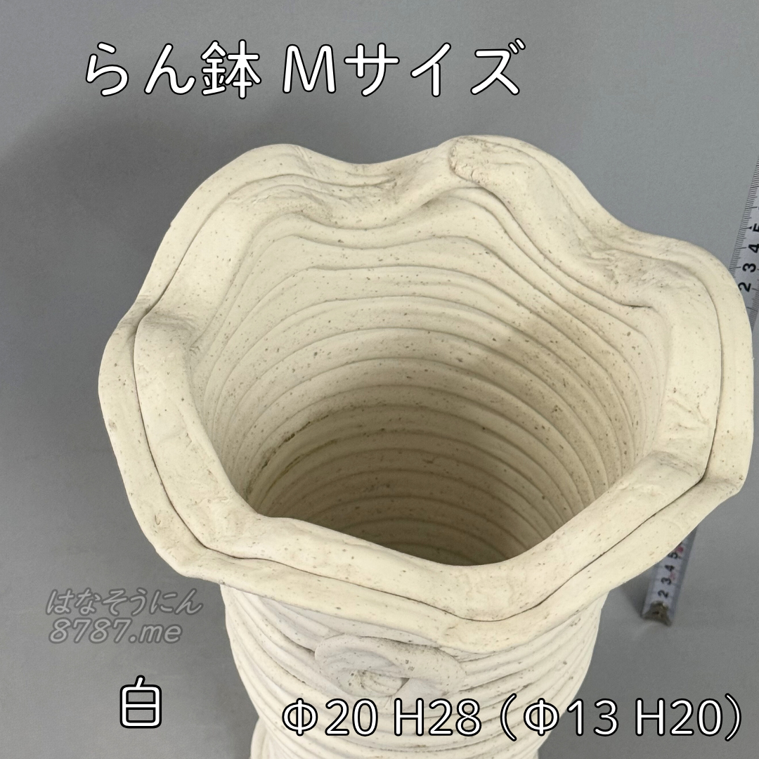 綱木紋鉢 らん鉢Mサイズ 白 上から見た鉢内部 はなそうにん オゼジュン先生のプランツギャザリング 寄せ植え用植木鉢