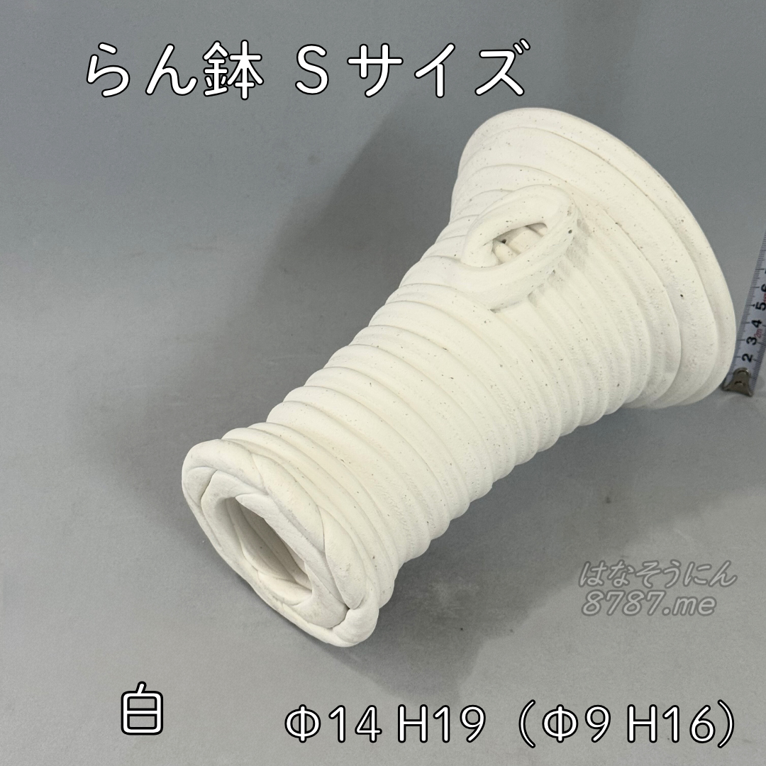 綱木紋鉢 らん鉢Sサイズ 白 下から はなそうにん オゼジュン先生のプランツギャザリング 寄せ植え用植木鉢