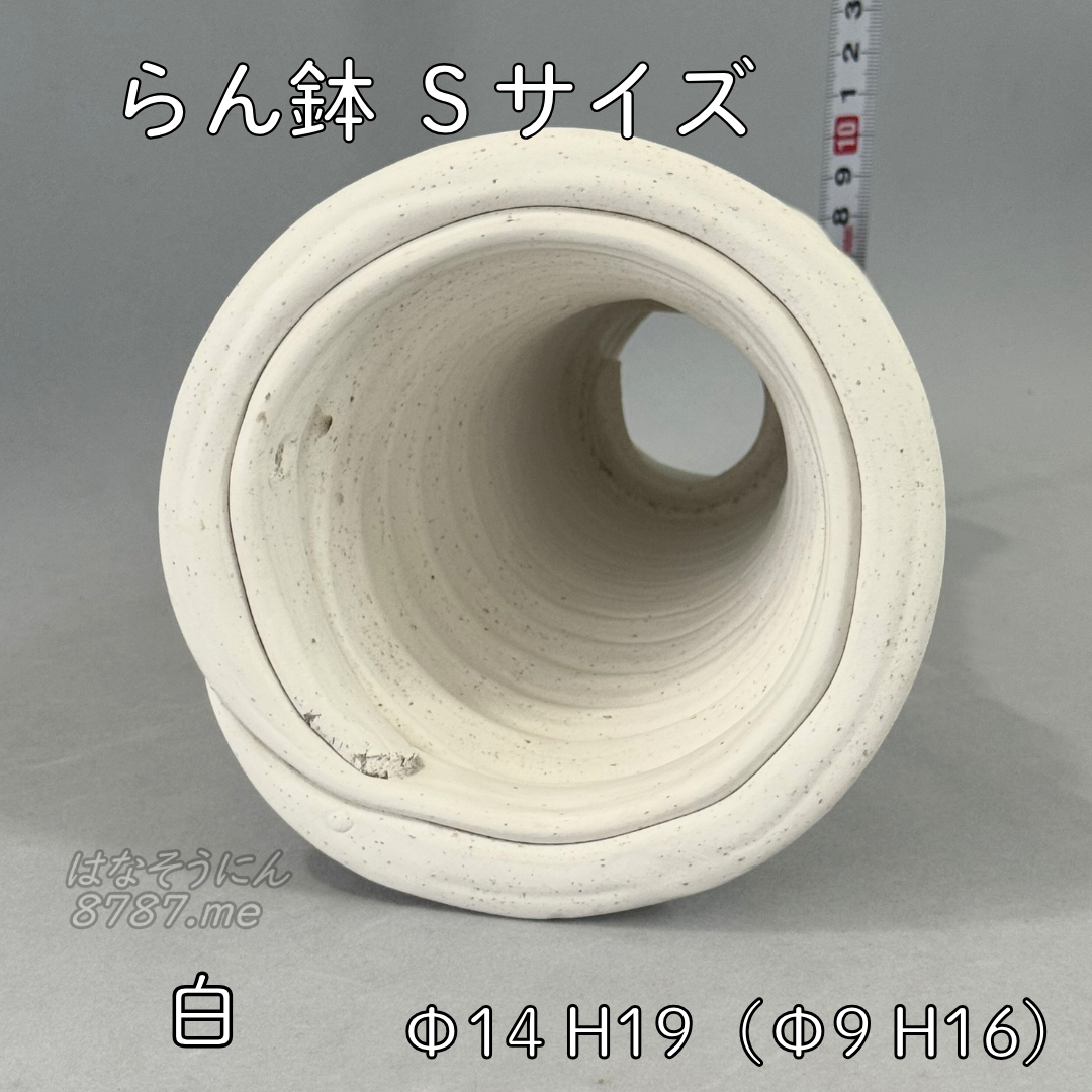 綱木紋鉢 らん鉢Sサイズ 白 上から見た鉢内部 はなそうにん オゼジュン先生のプランツギャザリング 寄せ植え用植木鉢