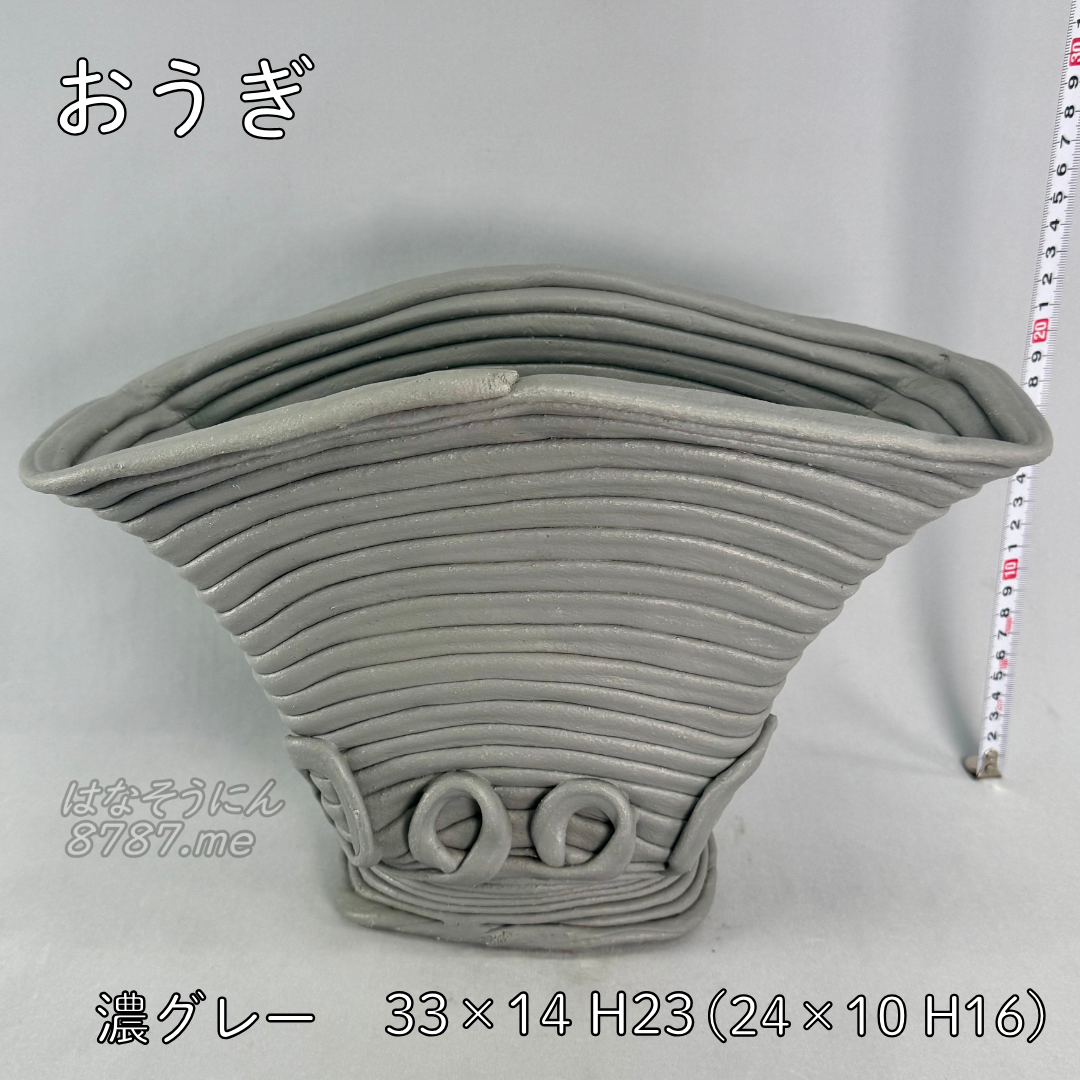 綱木紋鉢 おうぎ 後ろから はなそうにん オゼジュン先生のプランツギャザリング 寄せ植え用植木鉢