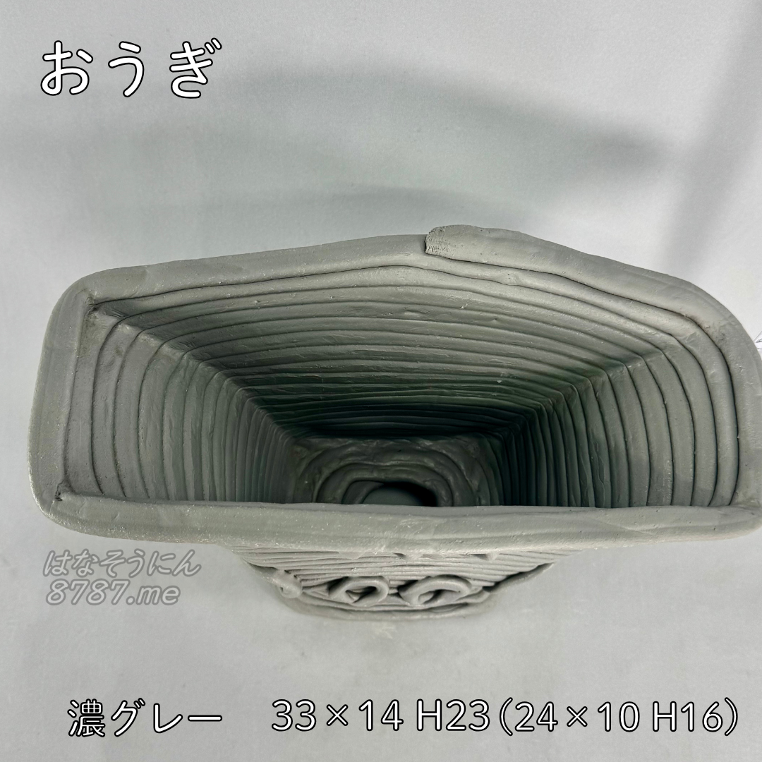 綱木紋鉢 おうぎ 上から はなそうにん オゼジュン先生のプランツギャザリング 寄せ植え用植木鉢