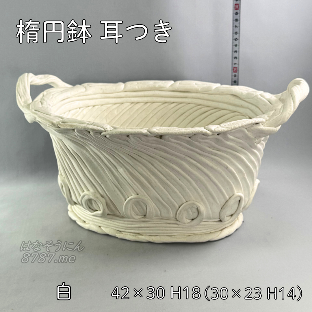 綱木紋鉢 楕円鉢耳付き メイン はなそうにん オゼジュン先生のプランツギャザリング 寄せ植え用植木鉢