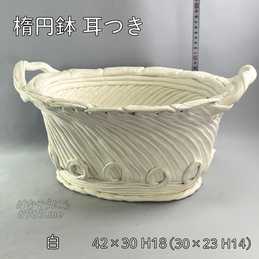 綱木紋鉢 楕円鉢耳付き メイン はなそうにん オゼジュン先生のプランツギャザリング 寄せ植え用植木鉢