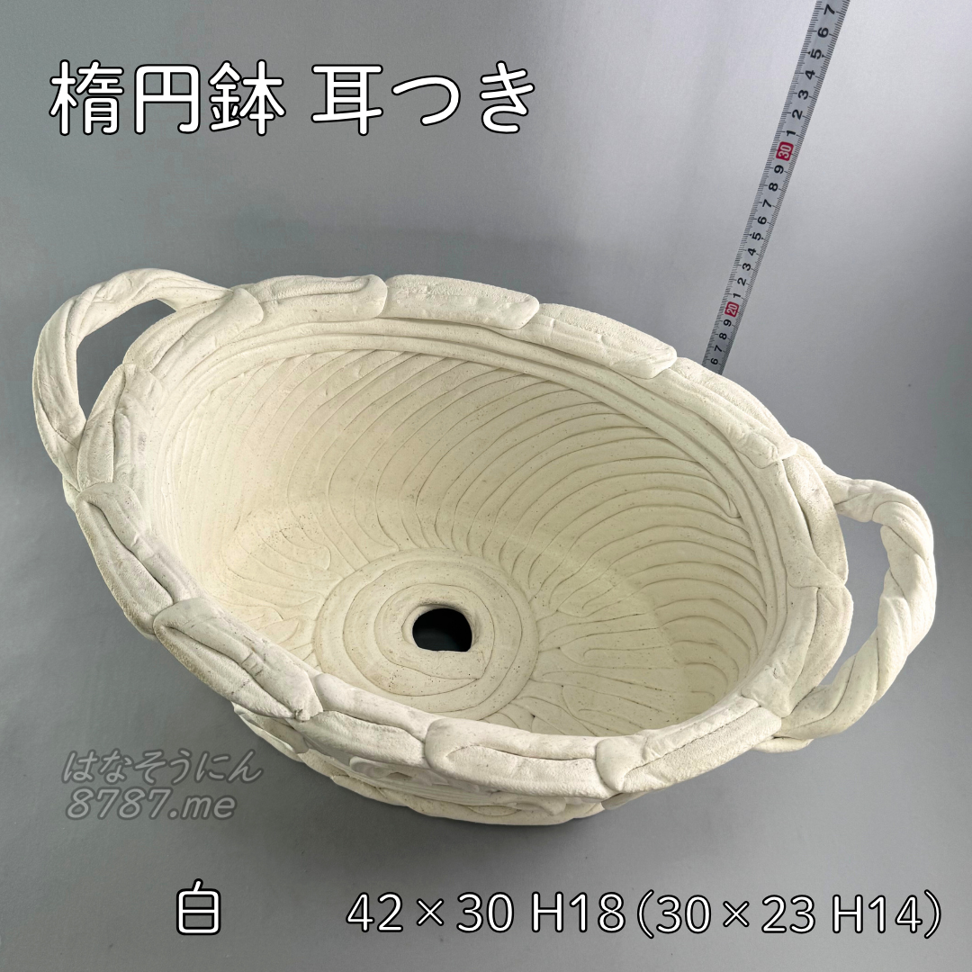 綱木紋鉢 楕円鉢耳付き 上から はなそうにん オゼジュン先生のプランツギャザリング 寄せ植え用植木鉢