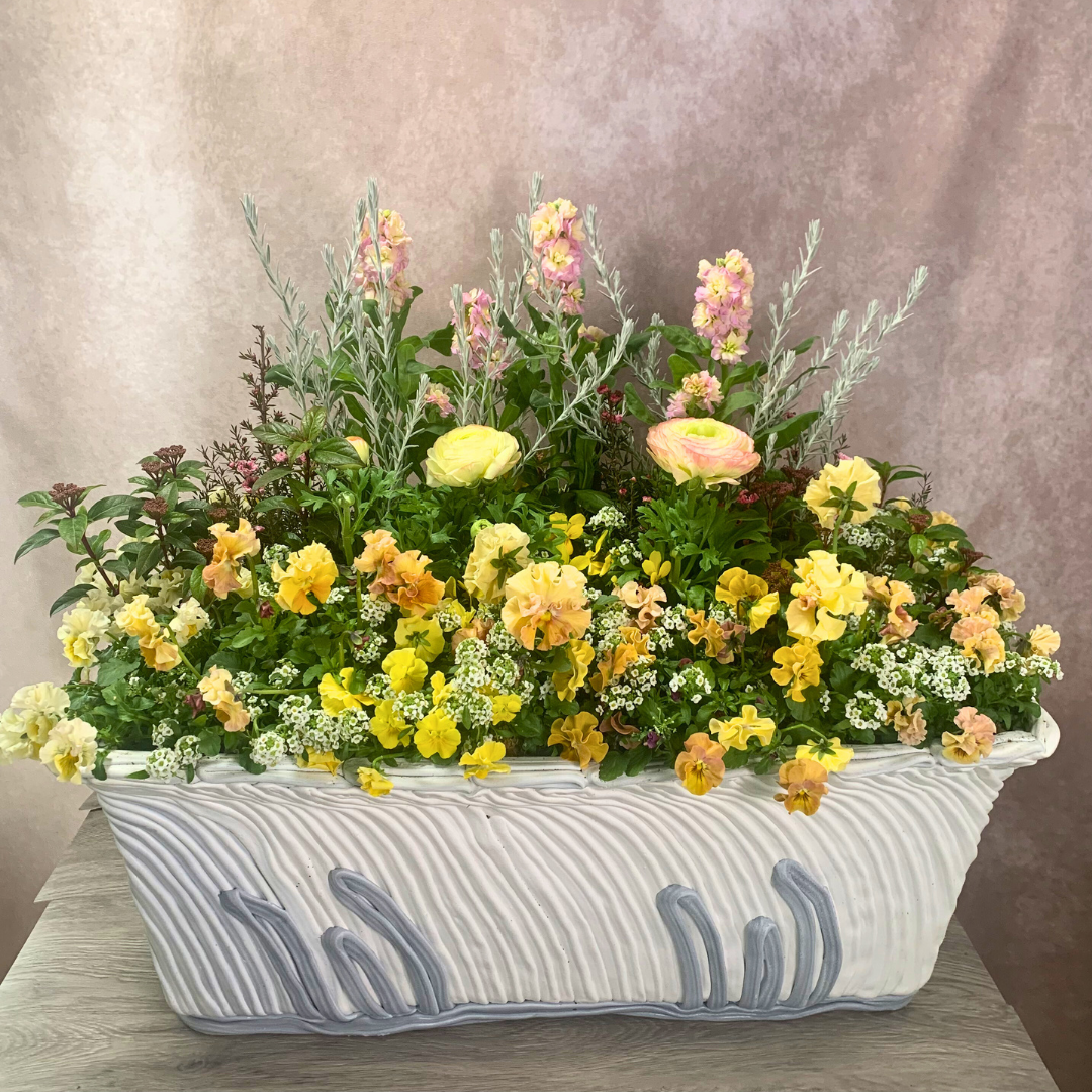 綱木紋鉢 プランターLサイズ フリルパンジービオラ ストック ラナンキュラス スイートアリッサム エレモフィラニベア ギョリュウバイ ビブラナムティヌスを使ったイエロー系春のプランツギャザリング寄せ植え作品例 はなそうにん オゼジュン先生のプランツギャザリング 寄せ植え用植木鉢